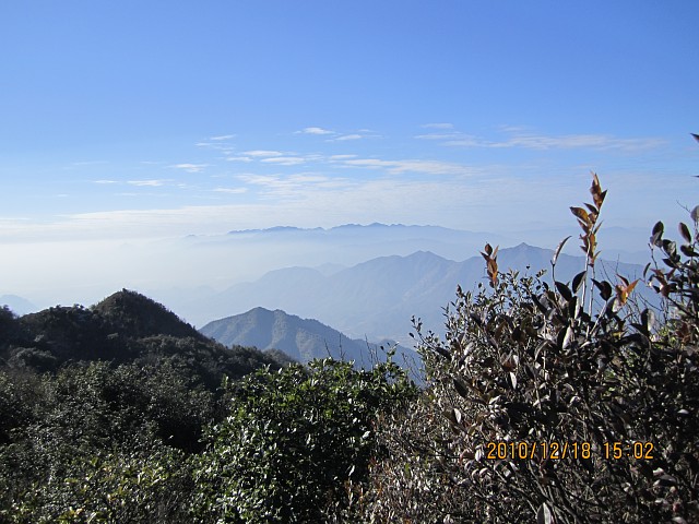 img010.jpg
