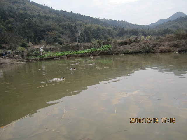 img053.jpg