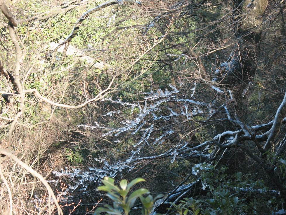 调整大小 IMG_0055.JPG