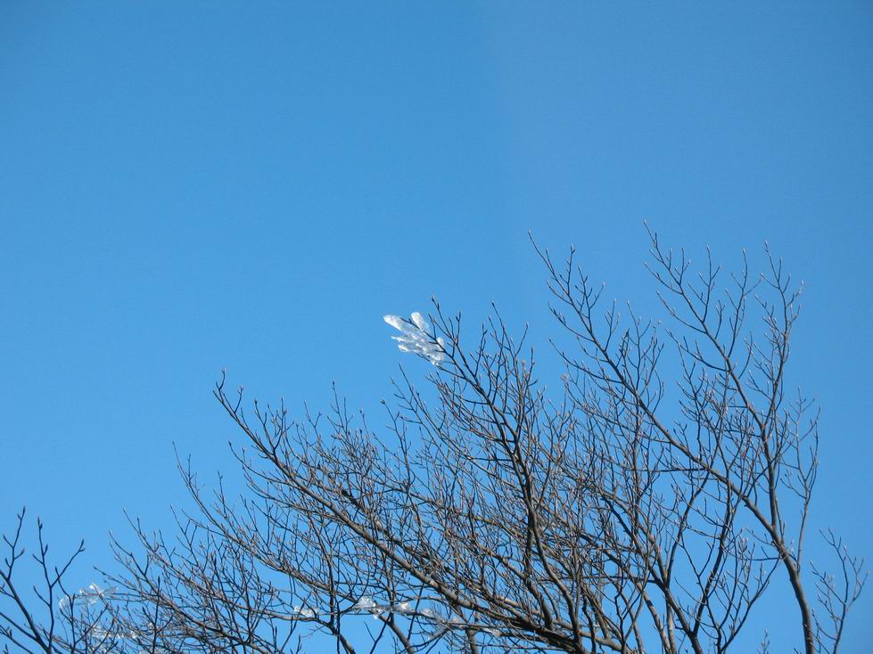 调整大小 IMG_0065.JPG