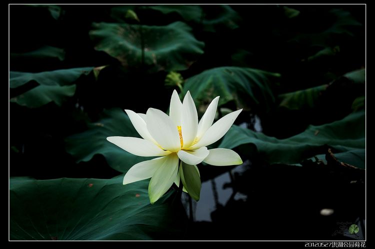 DSC_2069_nEO_IMG_nEO_IMG.jpg