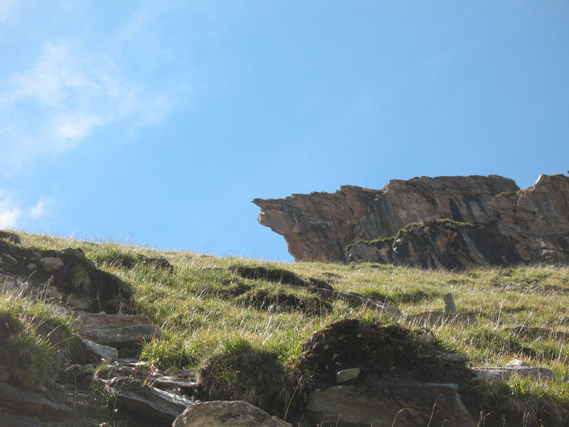 IMG_0445_缩小大小.JPG