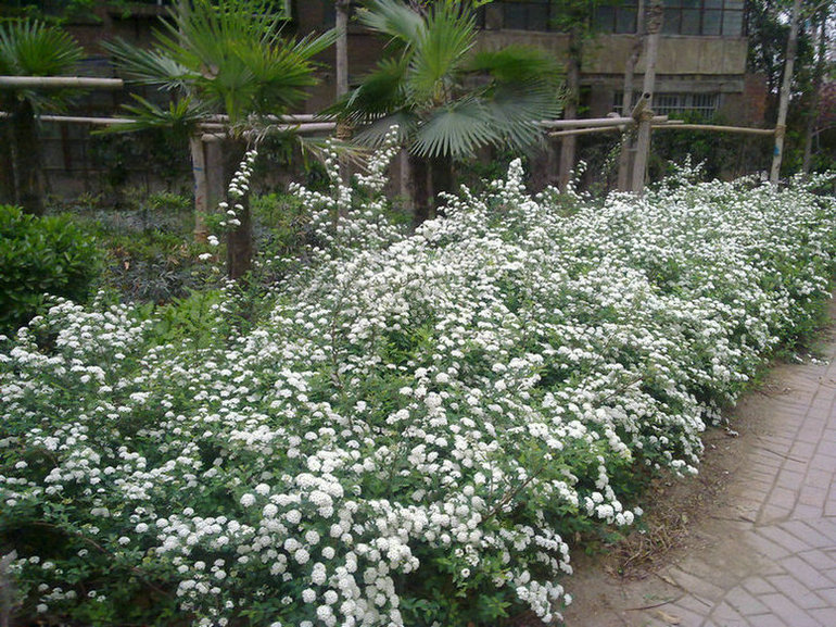 20140411383.jpg
